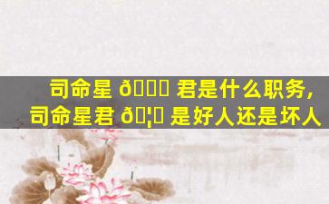 司命星 💐 君是什么职务,司命星君 🦟 是好人还是坏人